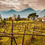 suedtirol, toergellen, reisen, ferienhausmiete, reiseblogger, manuscript, bellaamoremio. reisen, italienblog